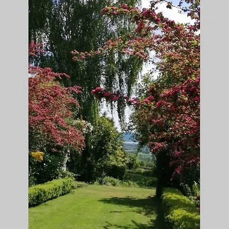 Du Chateau Des Boulais * Saint-Martin-le-Bouillant